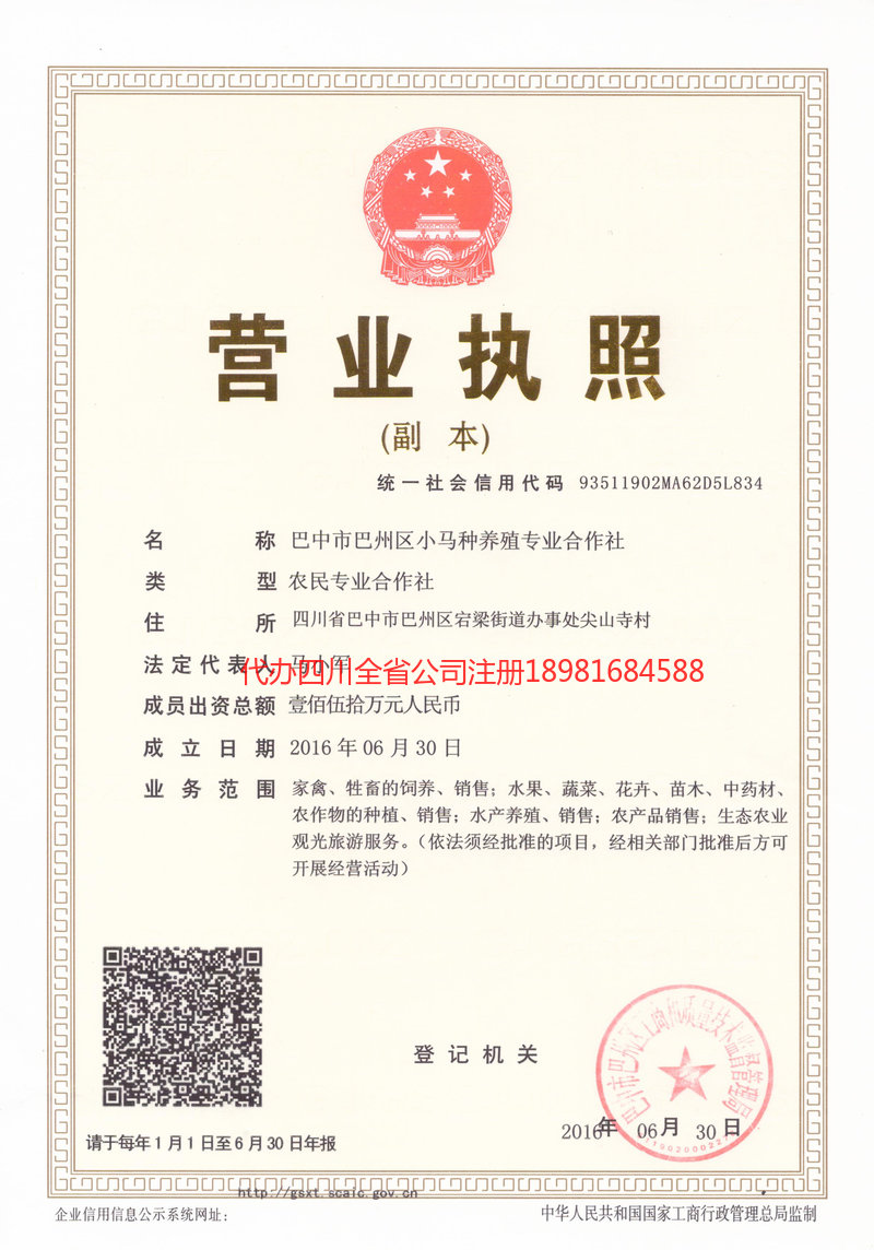 景洪景洪小马种养殖专业合作社